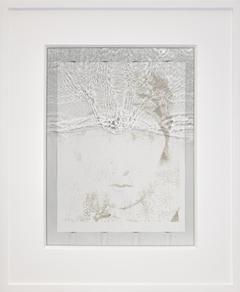 Rob and Nick Carter, Transforming Photograph, 2016