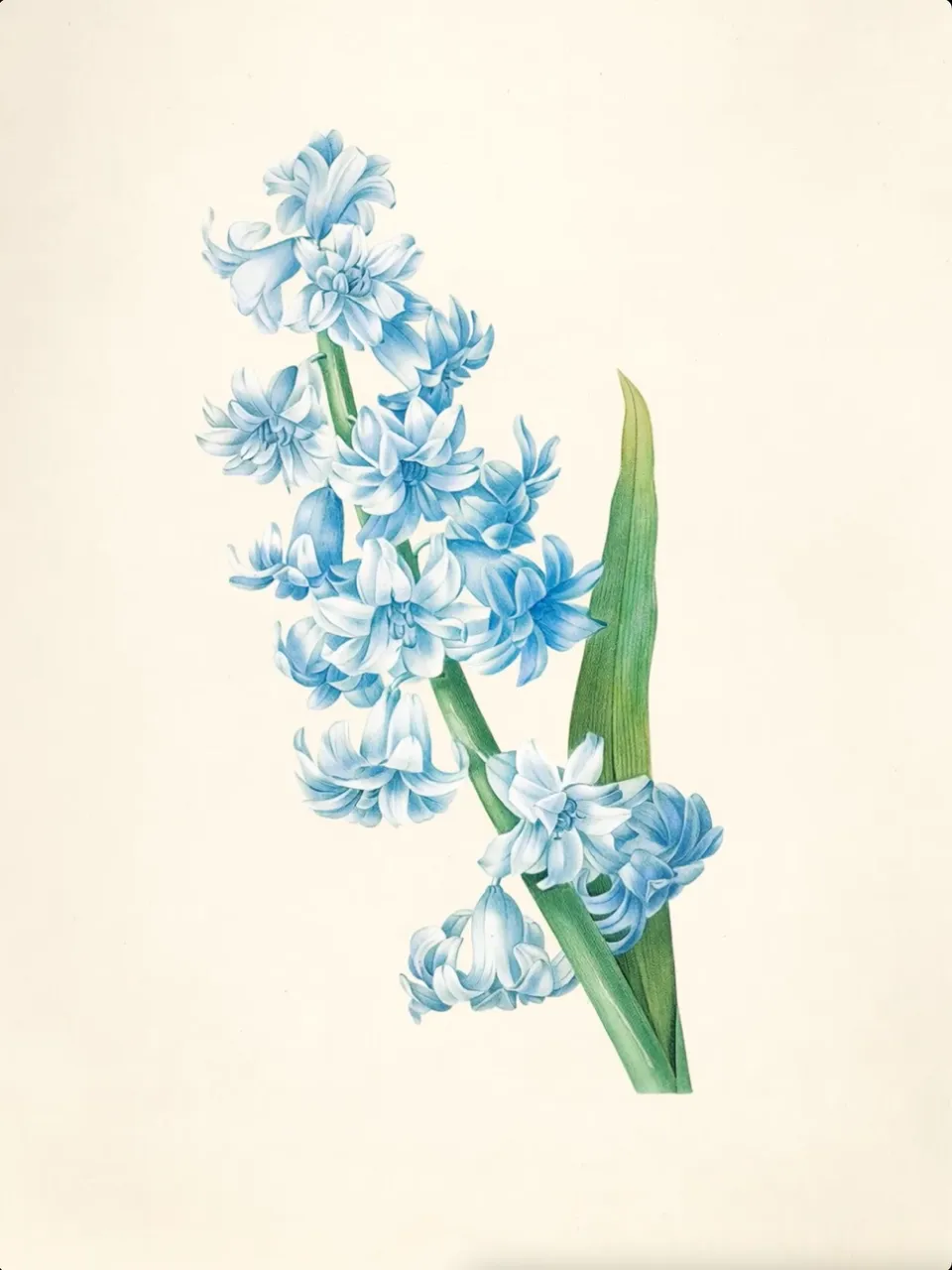 Rob and Nick Carter, Transforming Botanical Painting, 2026