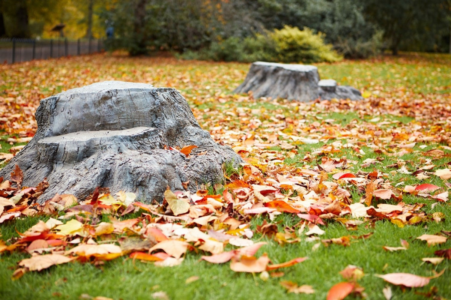 Rob and Nick Carter, Bronze Oak Grove, 2017