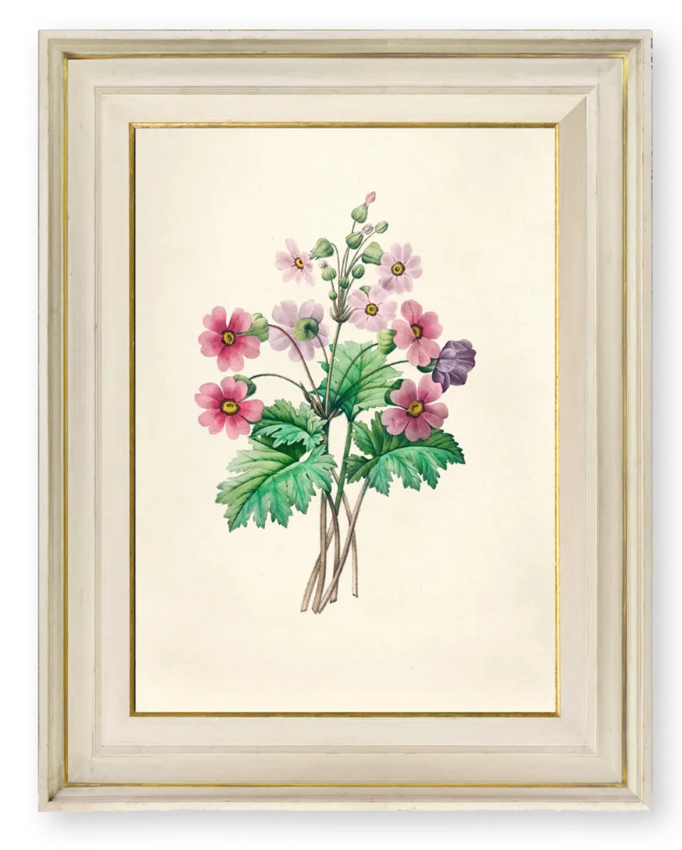 Rob and Nick Carter, Transforming Botanical Painting, 2026