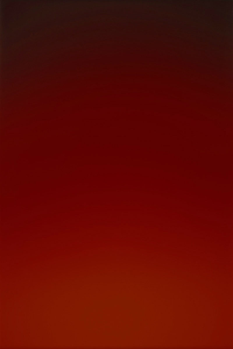 Rob and Nick Carter, Through Plasa Red, 2007