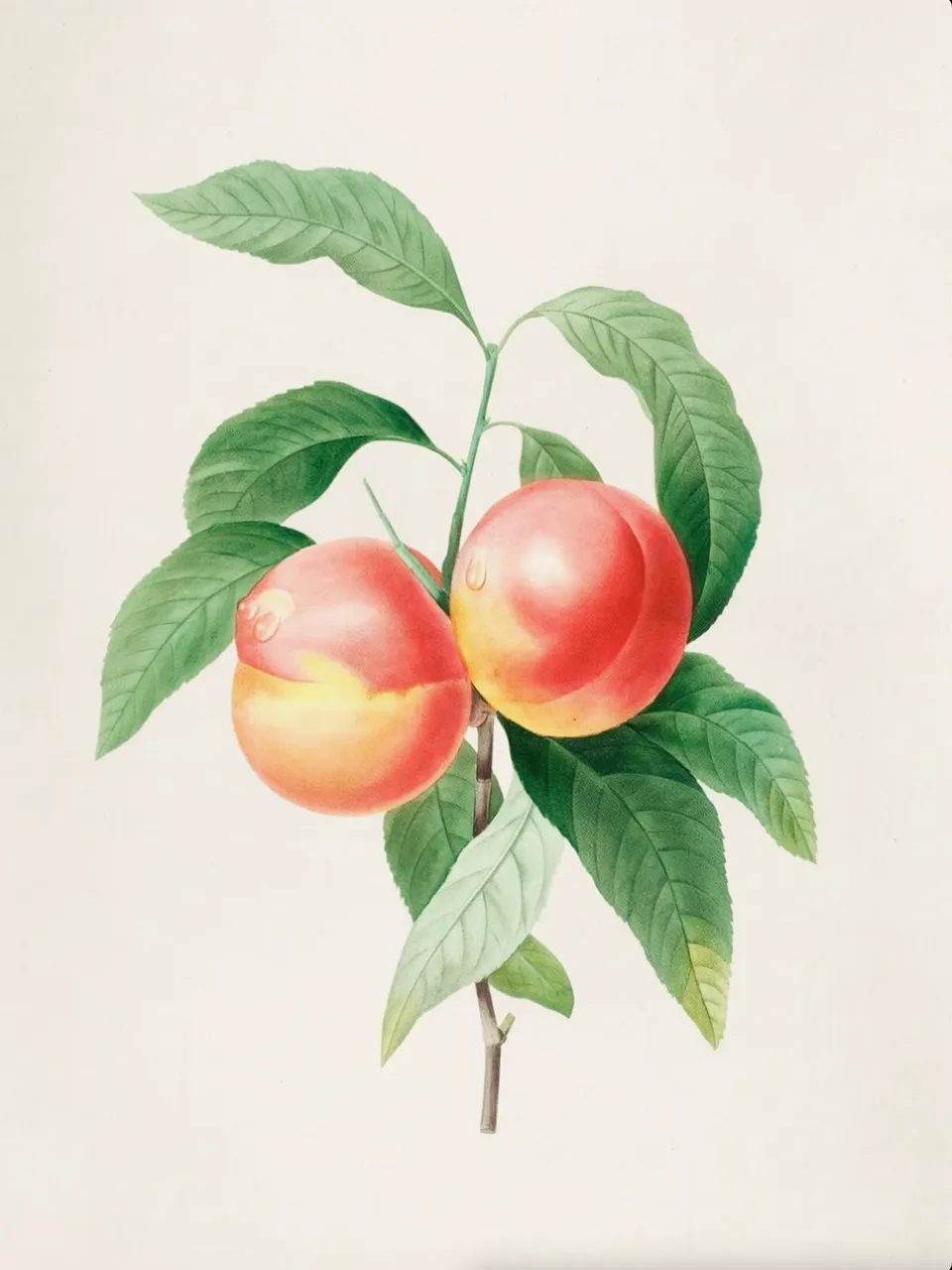 Rob and Nick Carter, Transforming Botanical Painting, 2026