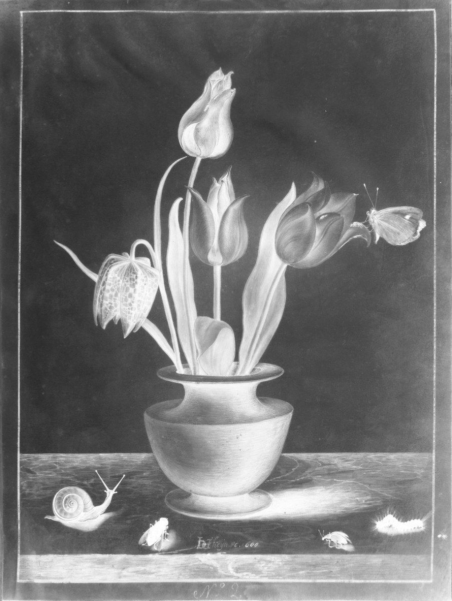 Rob and Nick Carter, Positive, Negative, Painting Photograph, 2016