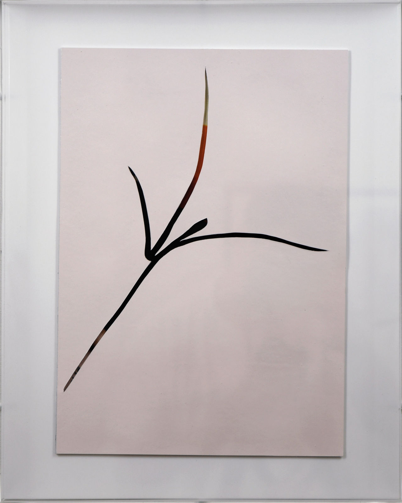 Natasha Law, Soft Machine, 2024