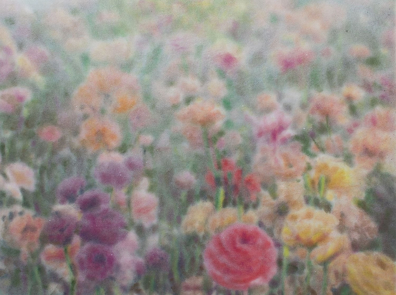 Eliana Marinari, Flower Symphony (Nr13), 2023