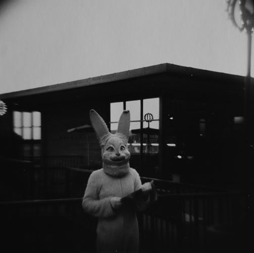 Bill Jacobson, Untitled (Diana Series), 1975