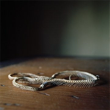 Wendy Burton, NATURAL HISTORIES: Lampropeltis Triangulum [Milksnake], 2012