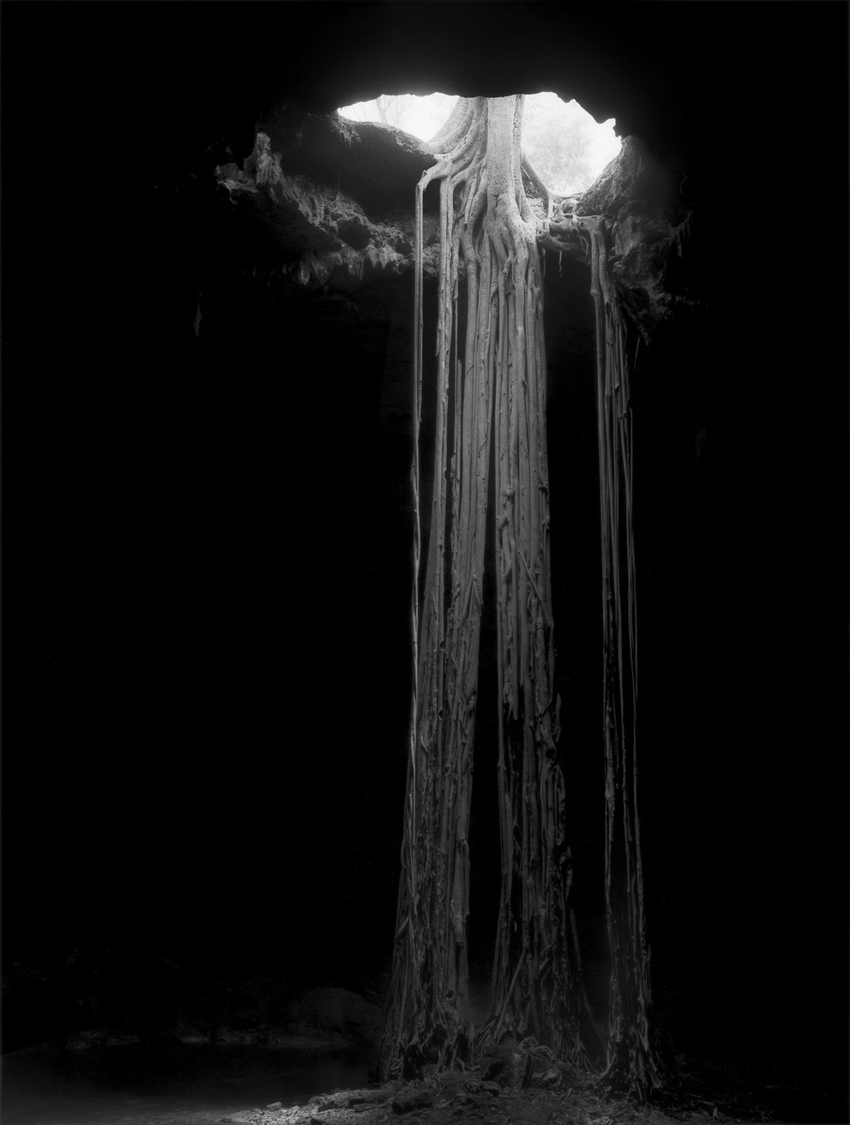 Sally Gall, Thirst, 2001