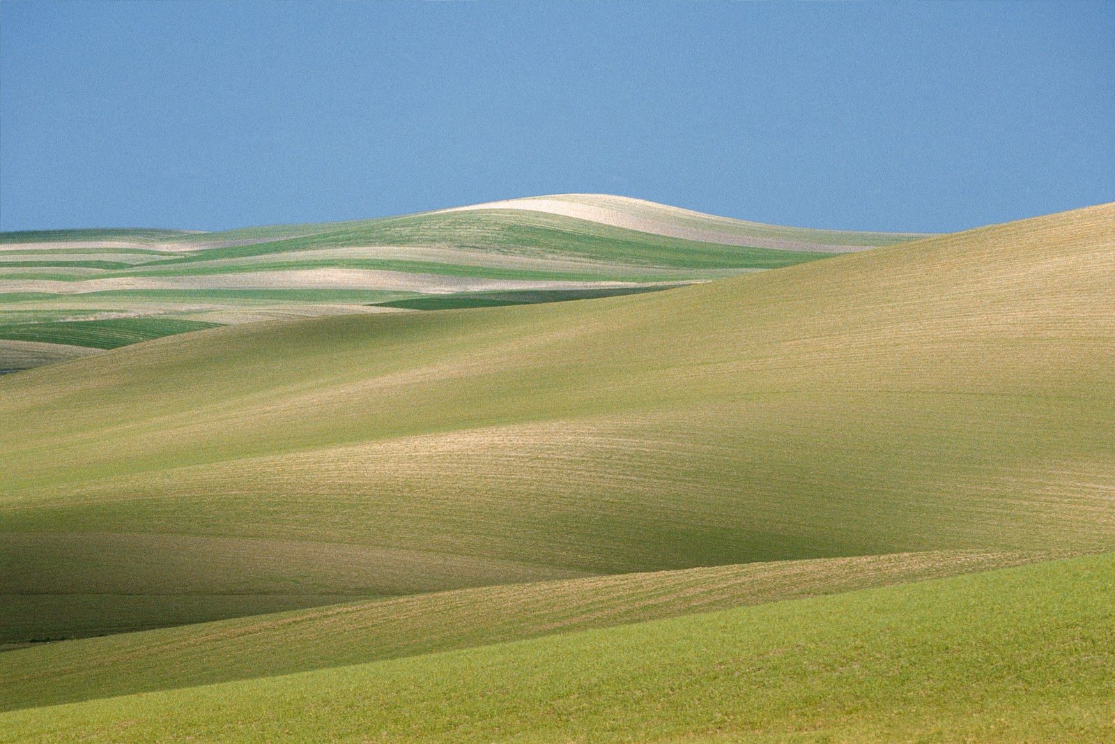 Franco Fontana, Basilicata, 1992