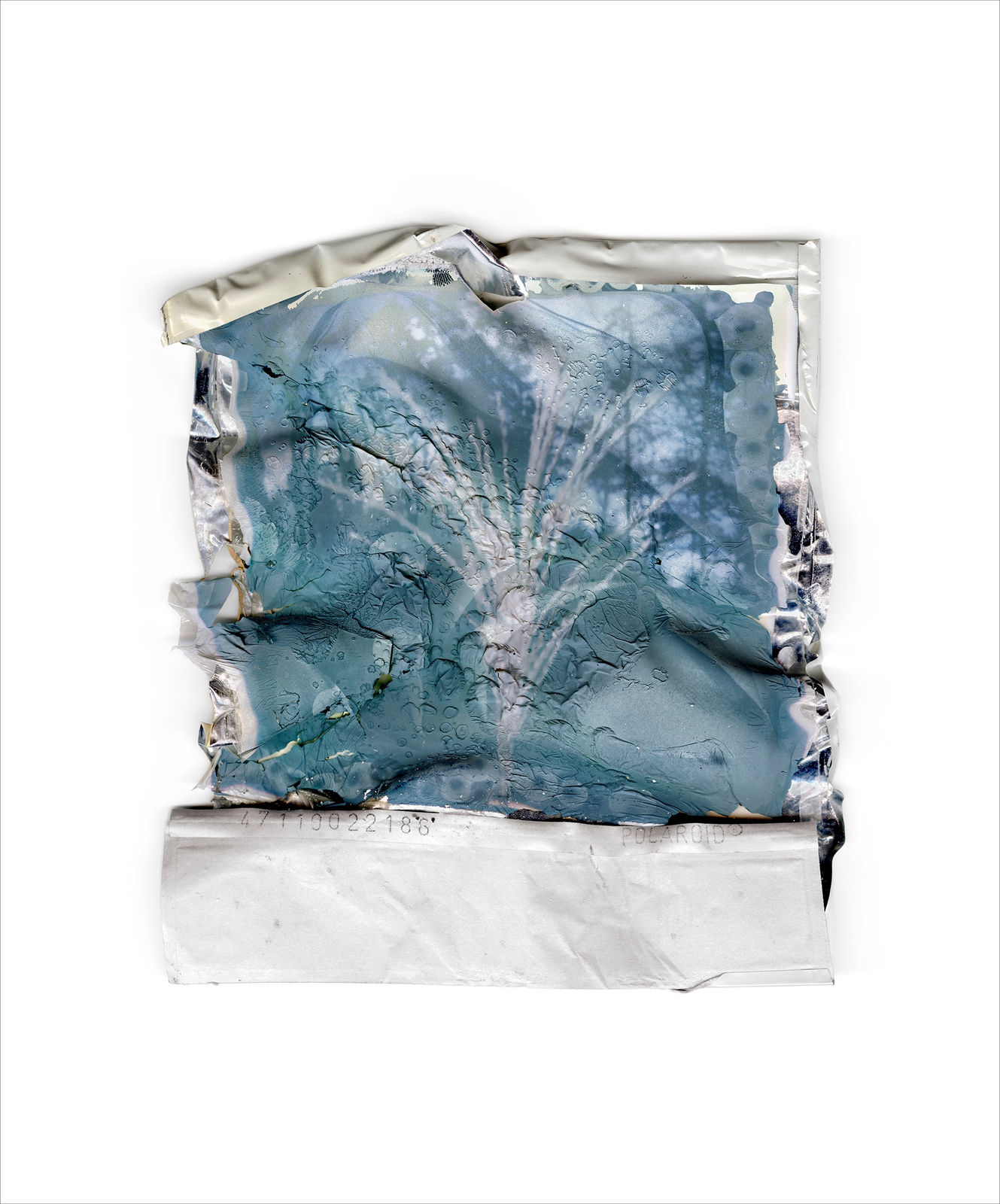 Gohar Dashti, Disappearing Nature #11, 2022