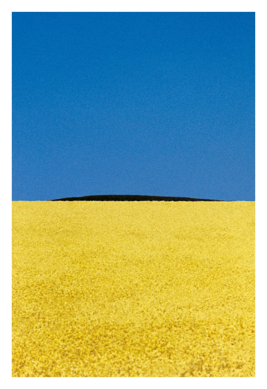Franco Fontana, Puglia, 1978