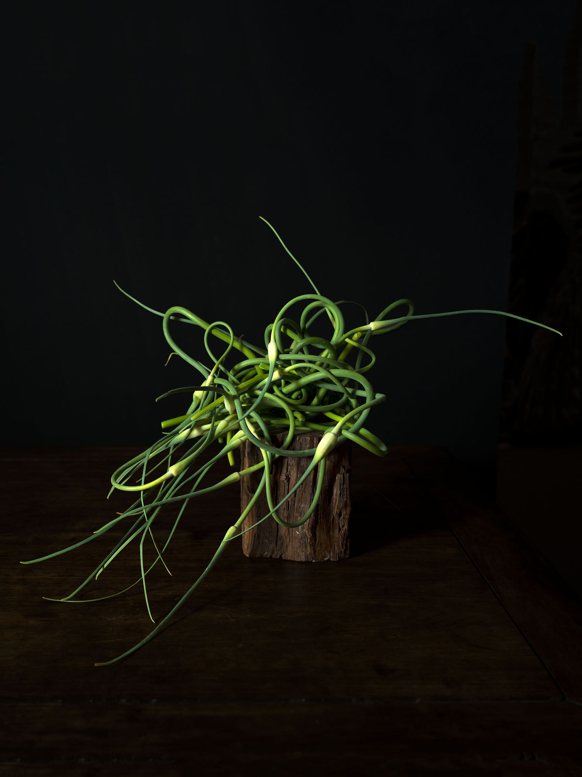 Han Feng, The Gift - No. 17, 2020