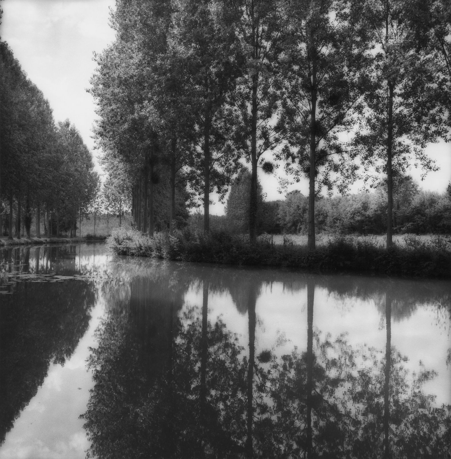 Sally Gall, Montresor, 1988