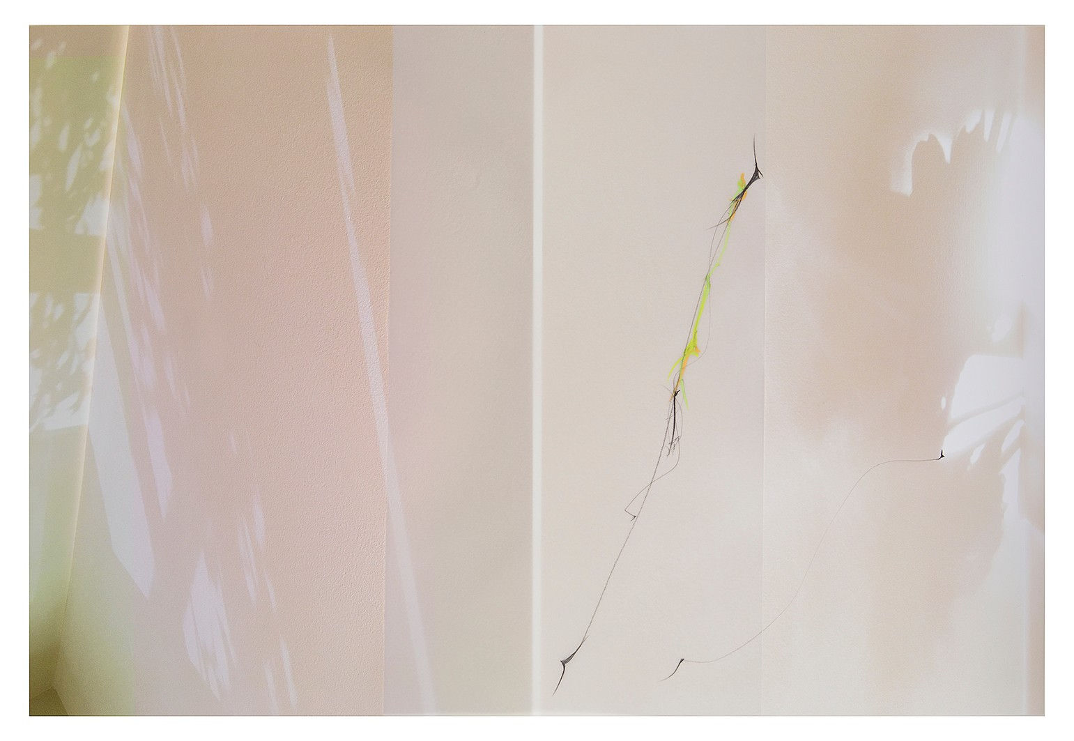 Sandi Haber Fifield, LS18_251, 2018