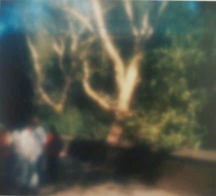 Bill Jacobson, #4201, 2001