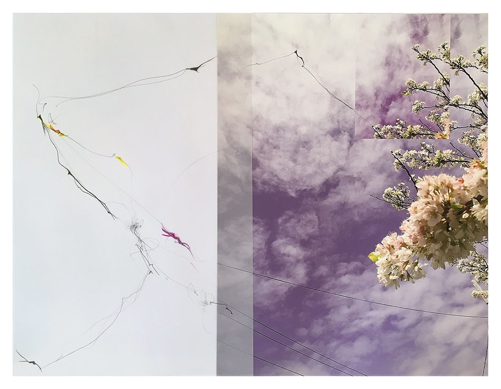 Sandi Haber Fifield, Untitled (LF16 #143), 2016