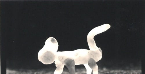 Michael Kenna, Paolo's Beeswax Dog, 1995