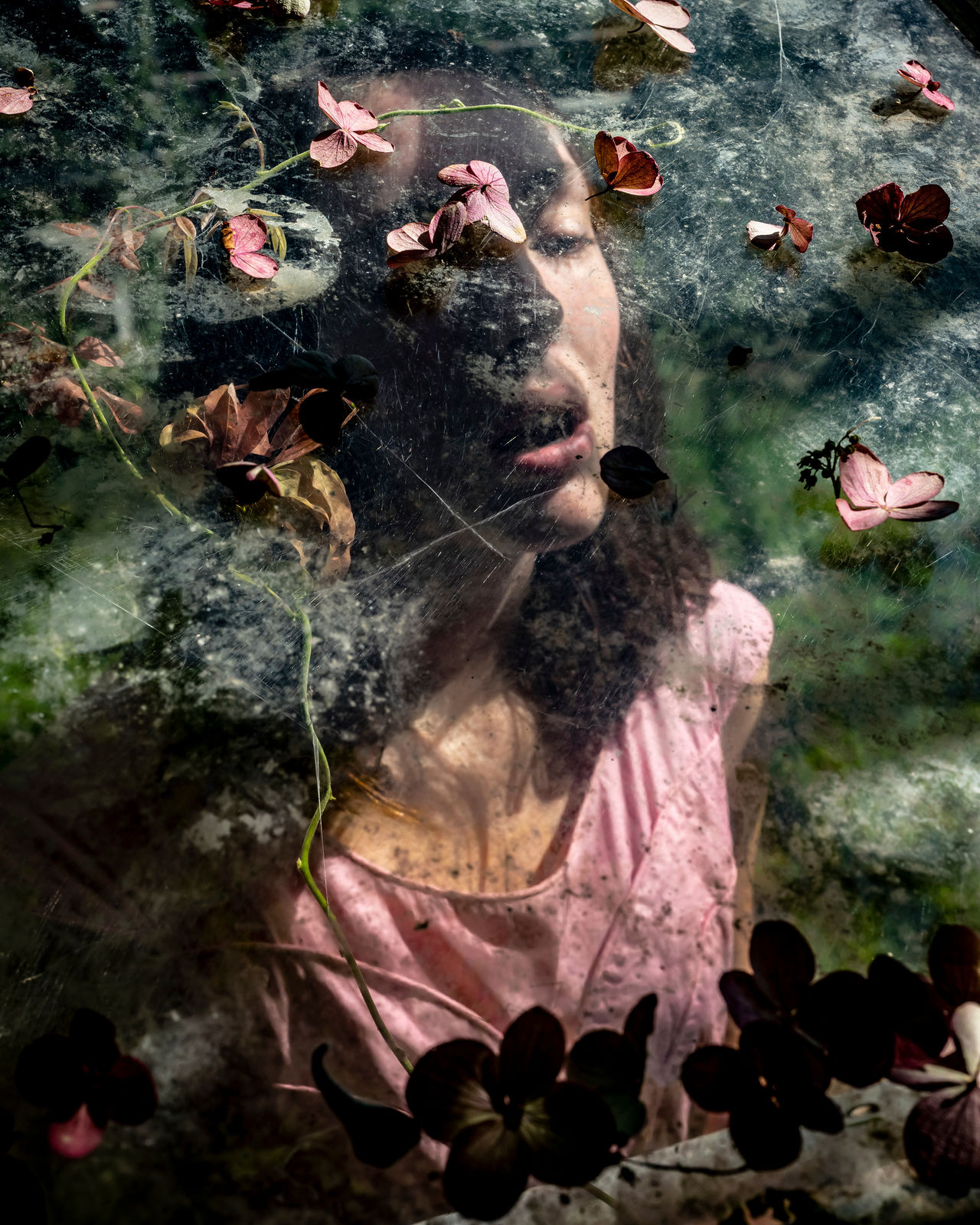 Cig Harvey, Greenhouse (Eleanor), 2019