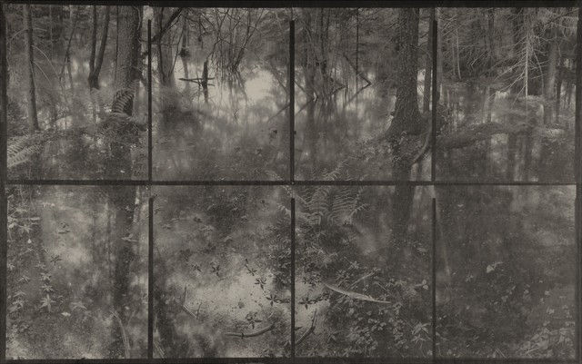 Koichiro Kurita, Flood, Catskills, NY, 2003