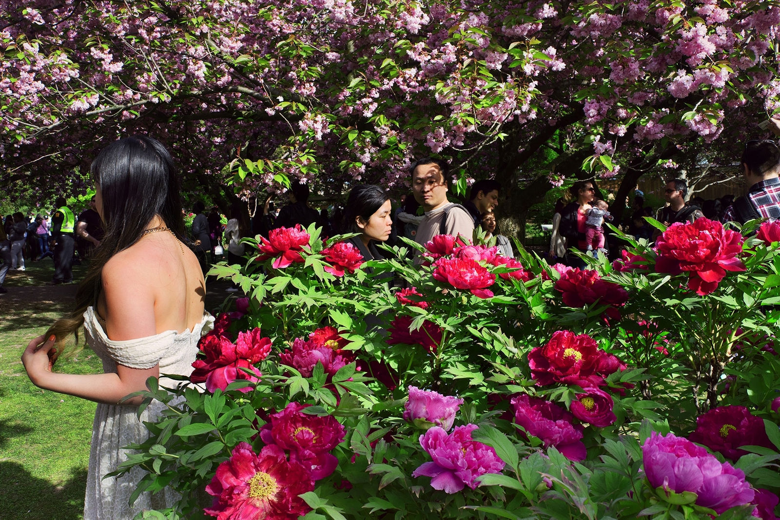 Rebecca Norris Webb, Our Garden, 2016