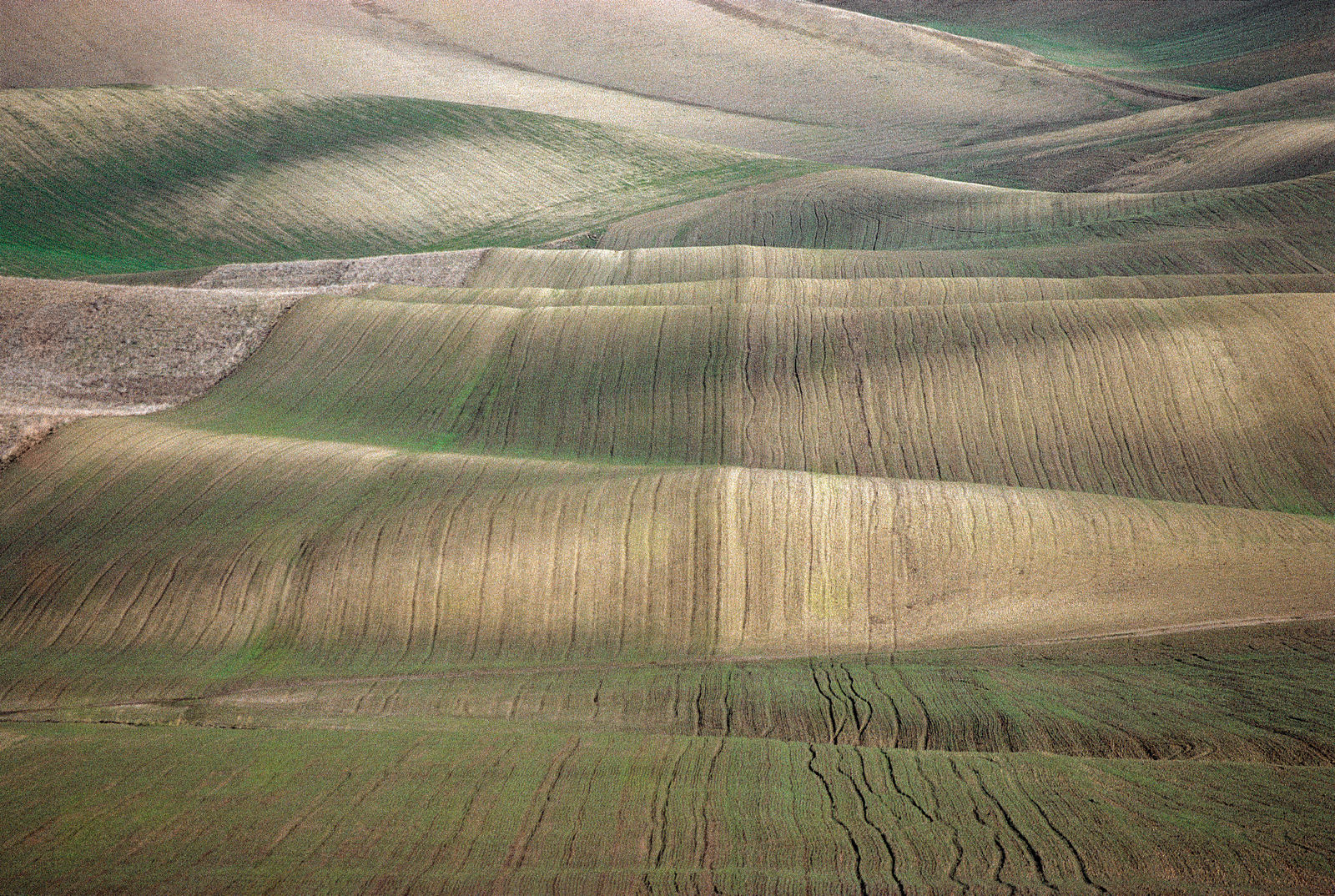 Franco Fontana, Basilicata, 1980
