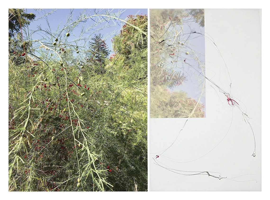 Sandi Haber Fifield, Untitled (LF17 #152), 2016