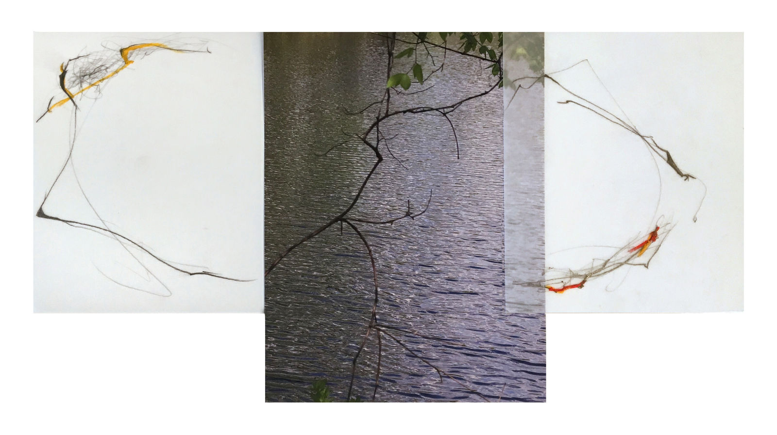 Sandi Haber Fifield, Untitled (LF16 #102), 2016