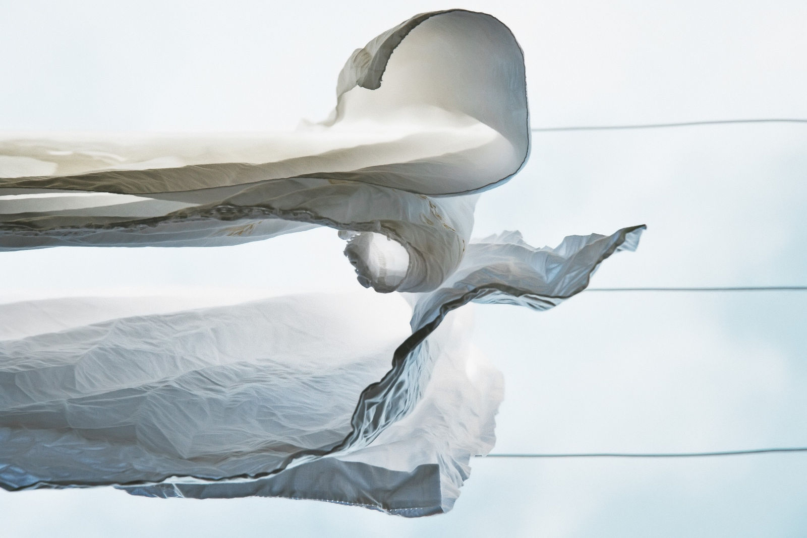 Sally Gall, Tailwind, 2015