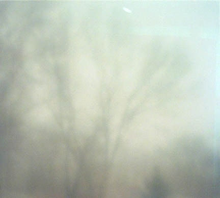 Bill Jacobson, #3037, 1999