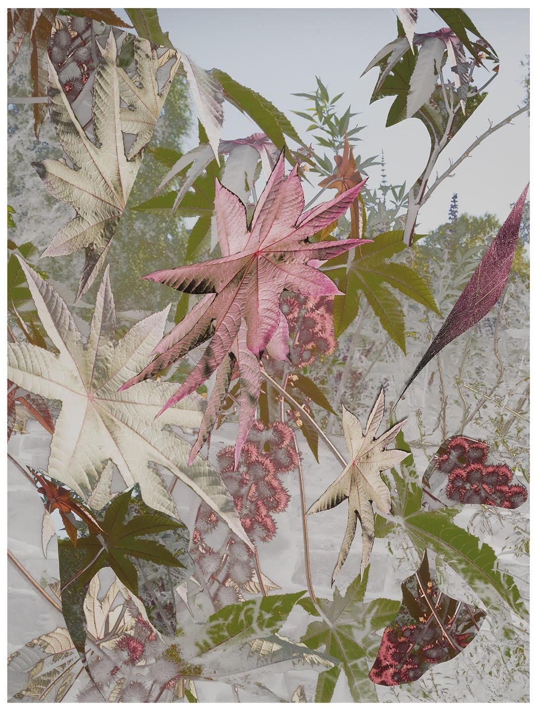 Sandi Haber Fifield, BE20_397, 2020