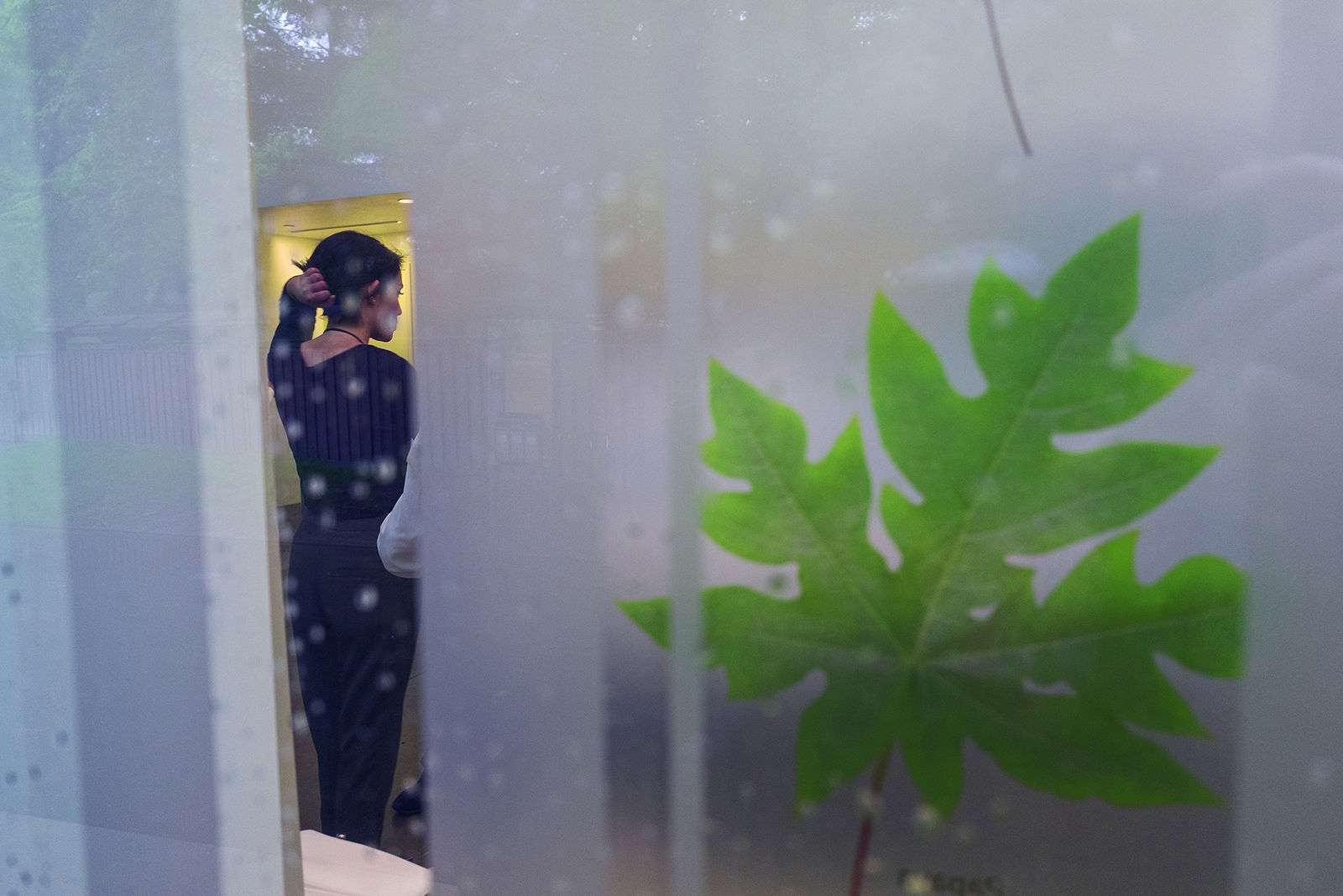 Rebecca Norris Webb, In The Rain, 2017