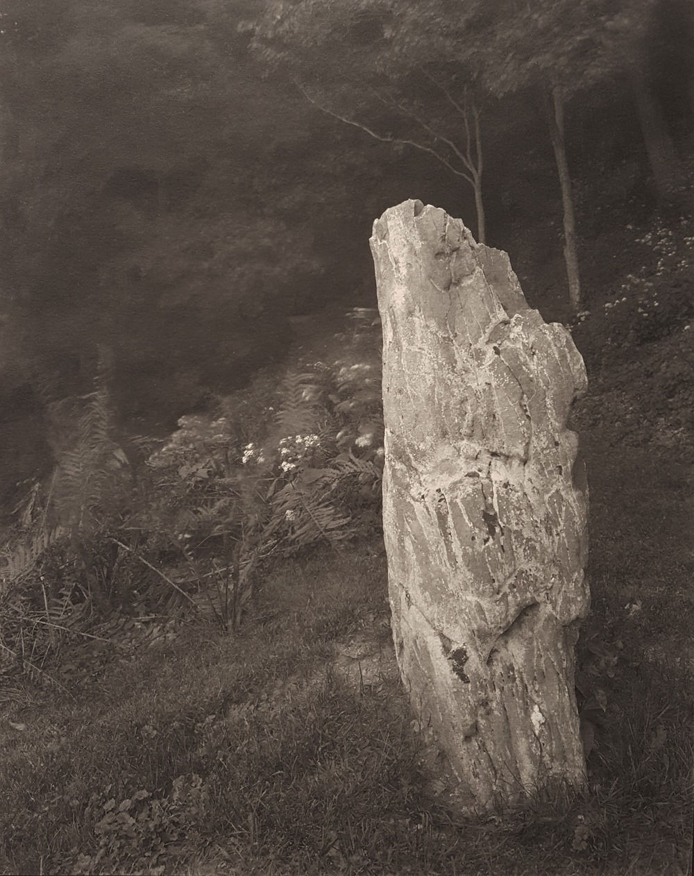 John Yang, Innisfree Garden, Millbrook, New York (443-18), 1983