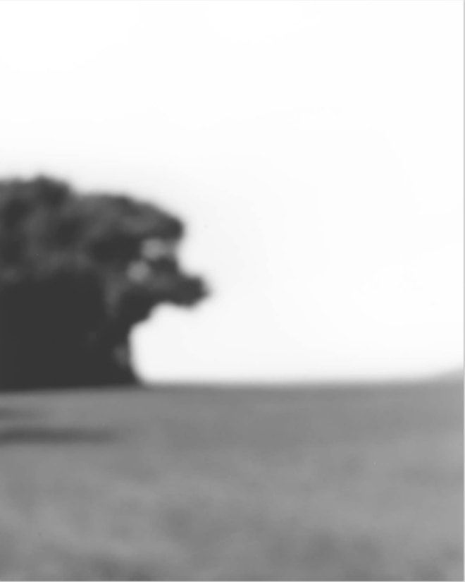 Bill Jacobson, when is a place, 2019