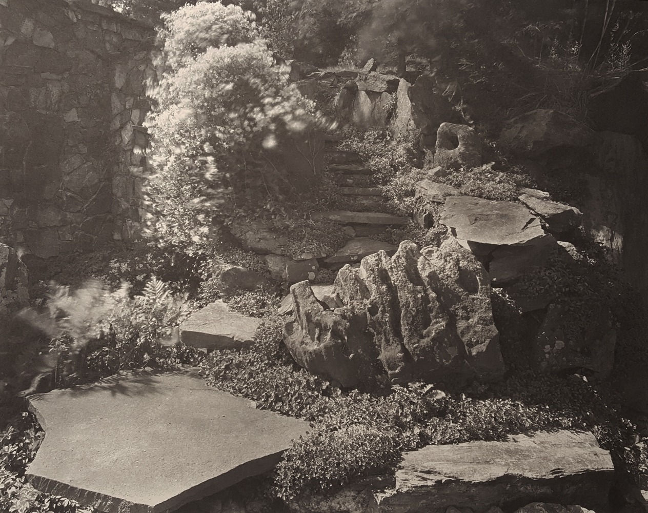 John Yang, Innisfree Garden, Millbrook, New York (358-13), 1982