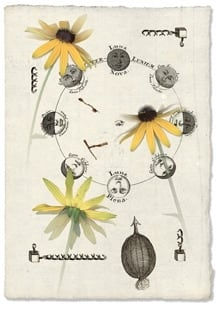 Olivia Parker, Luna(9807), 1999