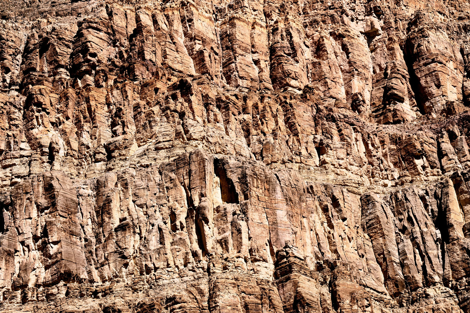 Sally Gall, Kama Sutra Temple, 2021