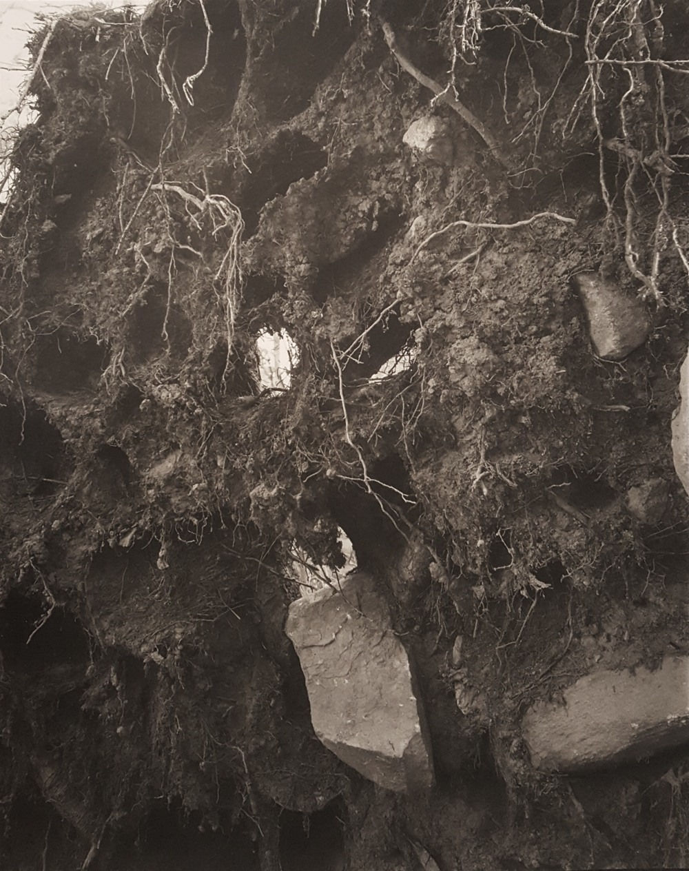 John Yang, Long Pond Preserve, Waccabuc, New York (178-3), 1980