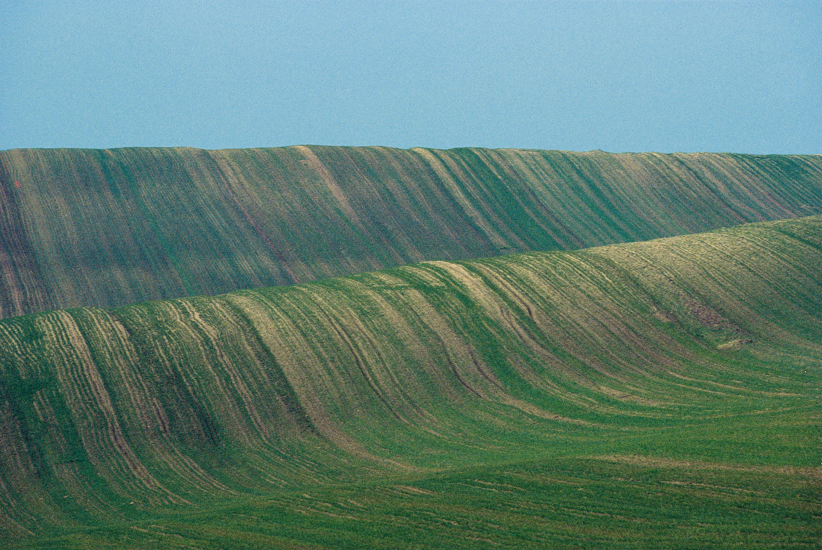 Franco Fontana, Basilicata, 1981