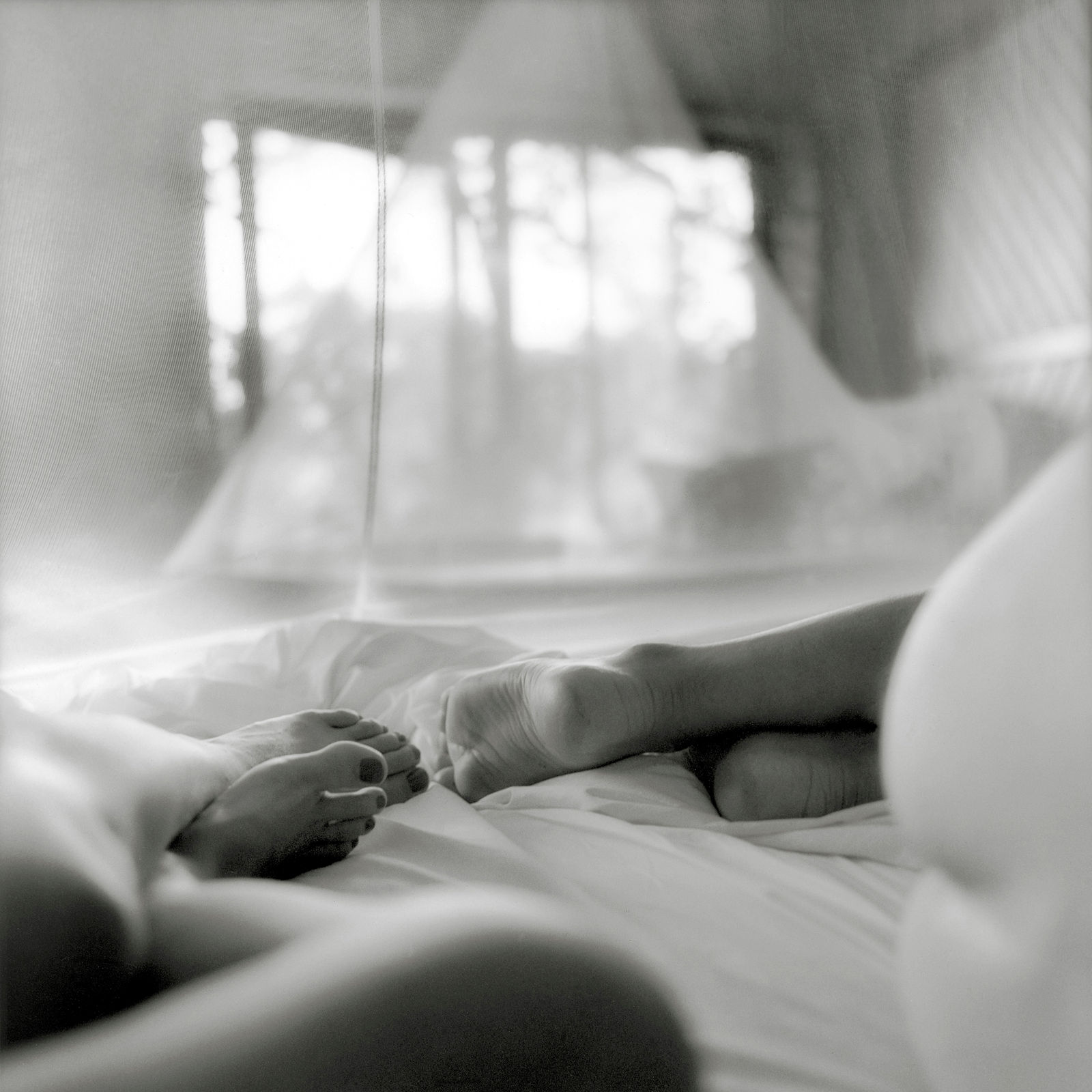 Sally Gall, Geometry Lesson, 1997