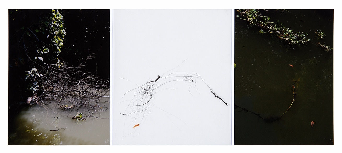 Sandi Haber Fifield, Untitled (LF16 #113), 2016