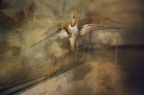 Rebecca Norris Webb, Gibara, Cuba, 2008