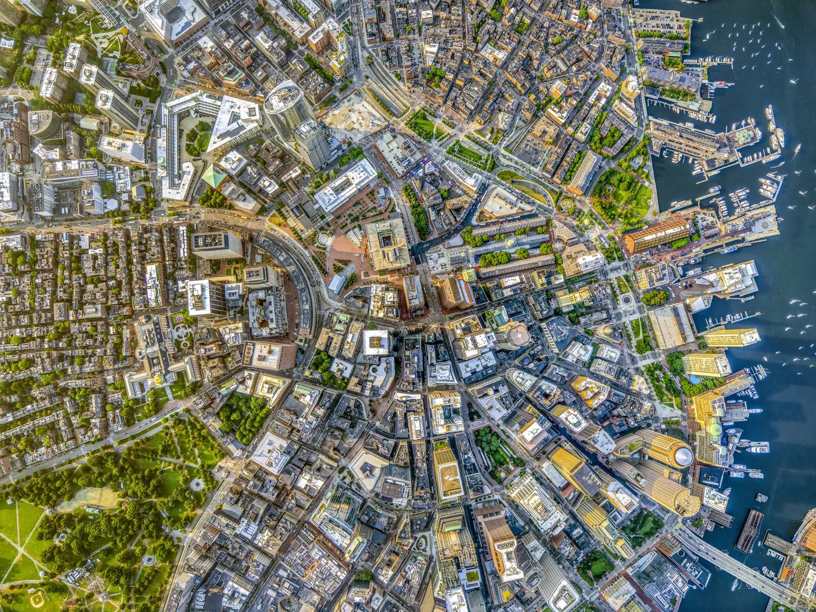 Jeffrey Milstein, Boston Downtown 07, 2024