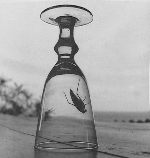 Sally Gall, Between Worlds ap/20, 1997