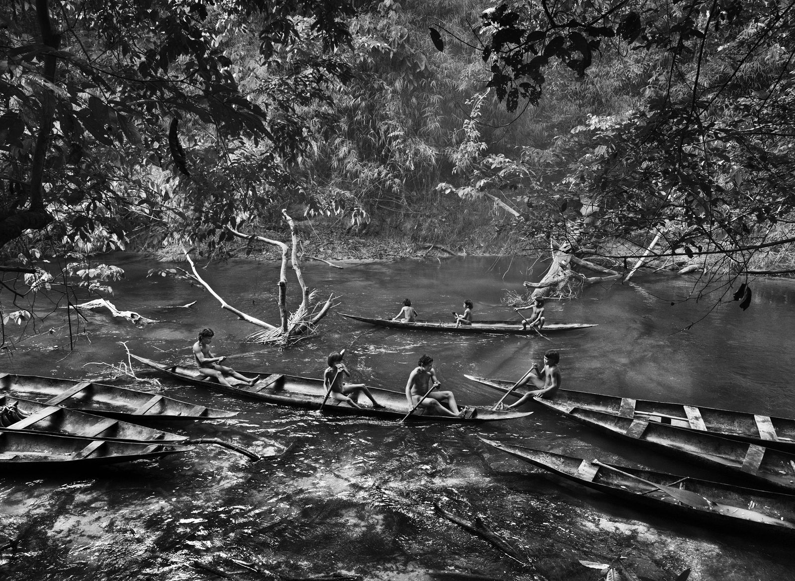 Sebastião Salgado, Fishing with timbó, a toxic substance that can paralyze fish, in the Jukihi stream. Suruwahá Indigenous Territory, State of Amazonas, Brazil, 2017