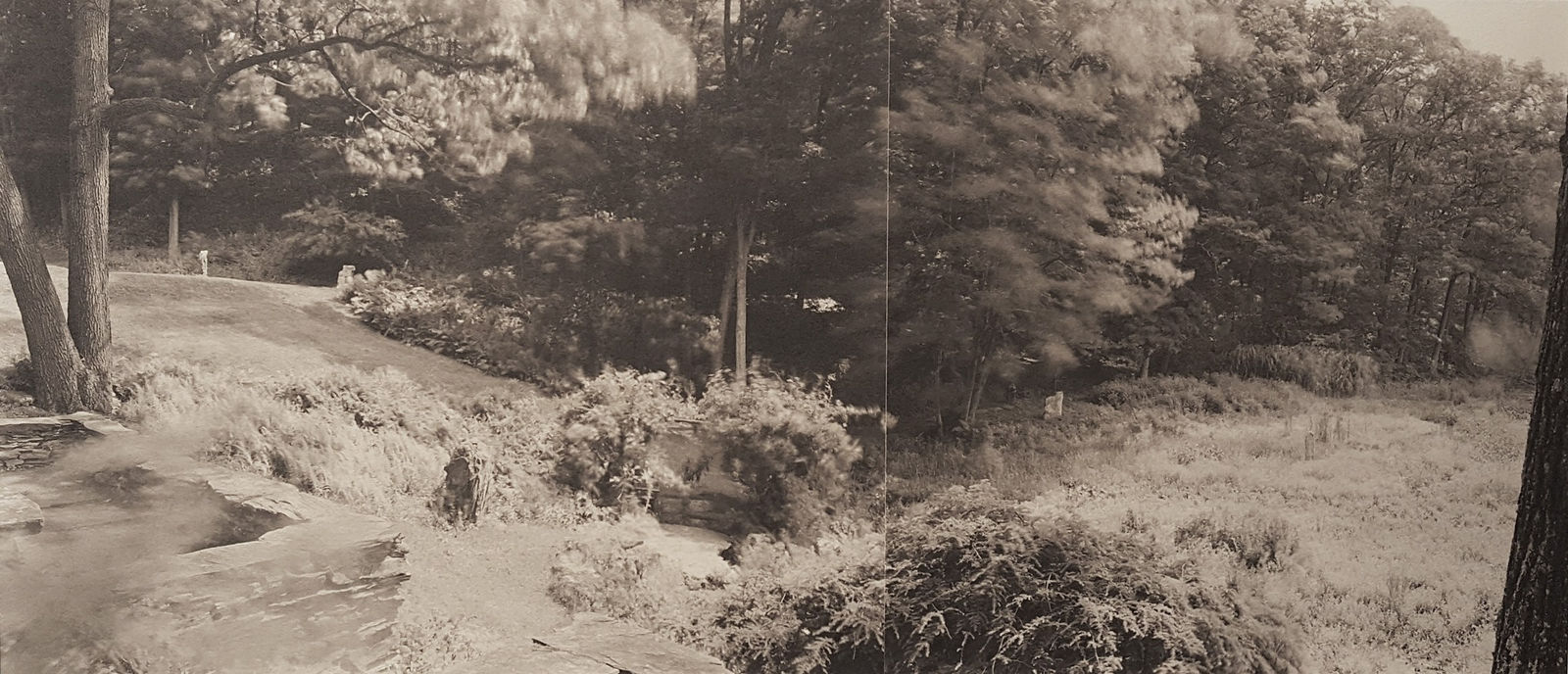 John Yang, Innisfree Garden, Millbrook, New York (443-17/18), 1983