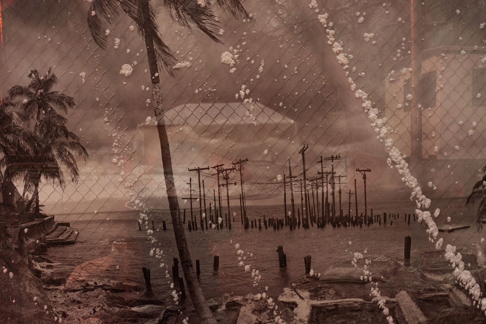 Rebecca Norris Webb, Two Worlds, 2016