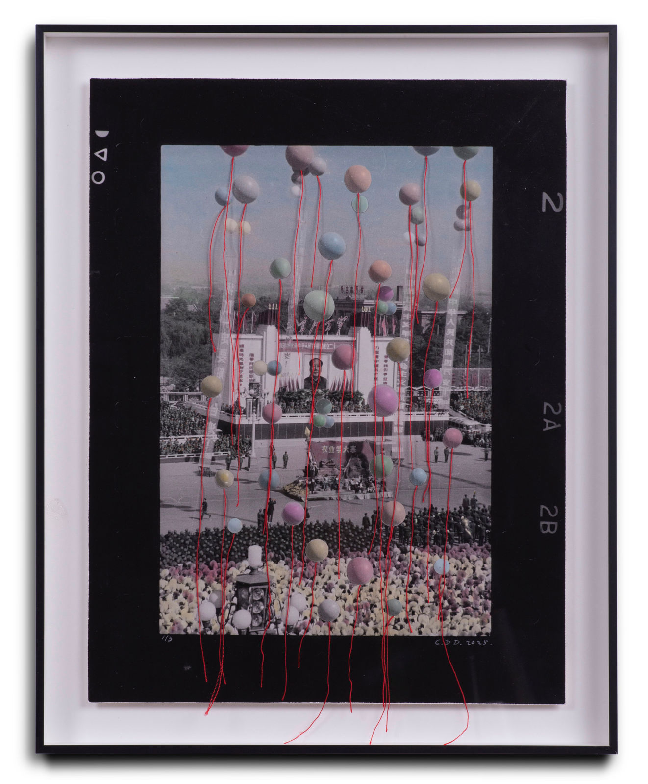 Cai Dongdong, Tadpoles, 2025