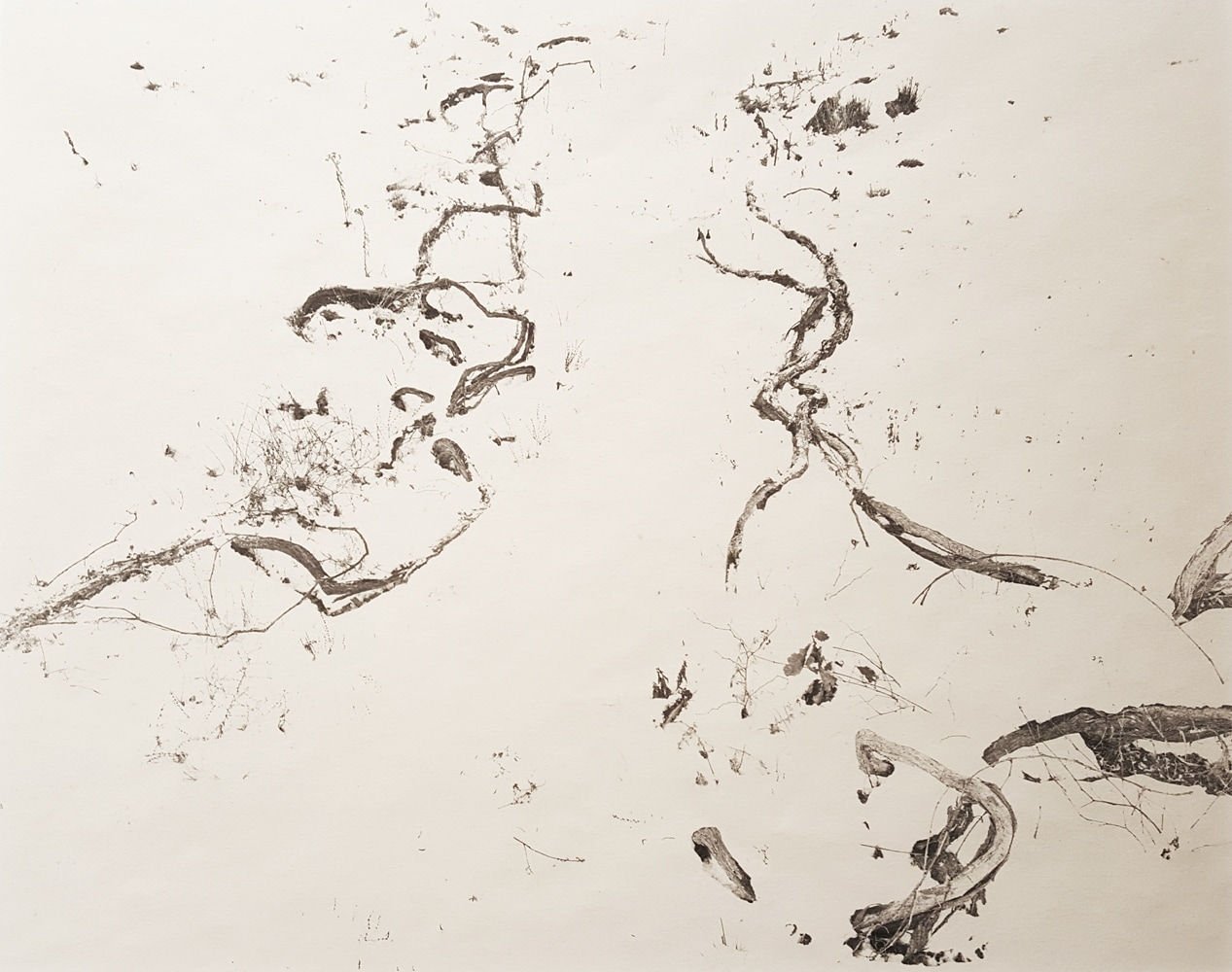 John Yang, Innisfree Garden, Millbrook, New York (383.24), 1982