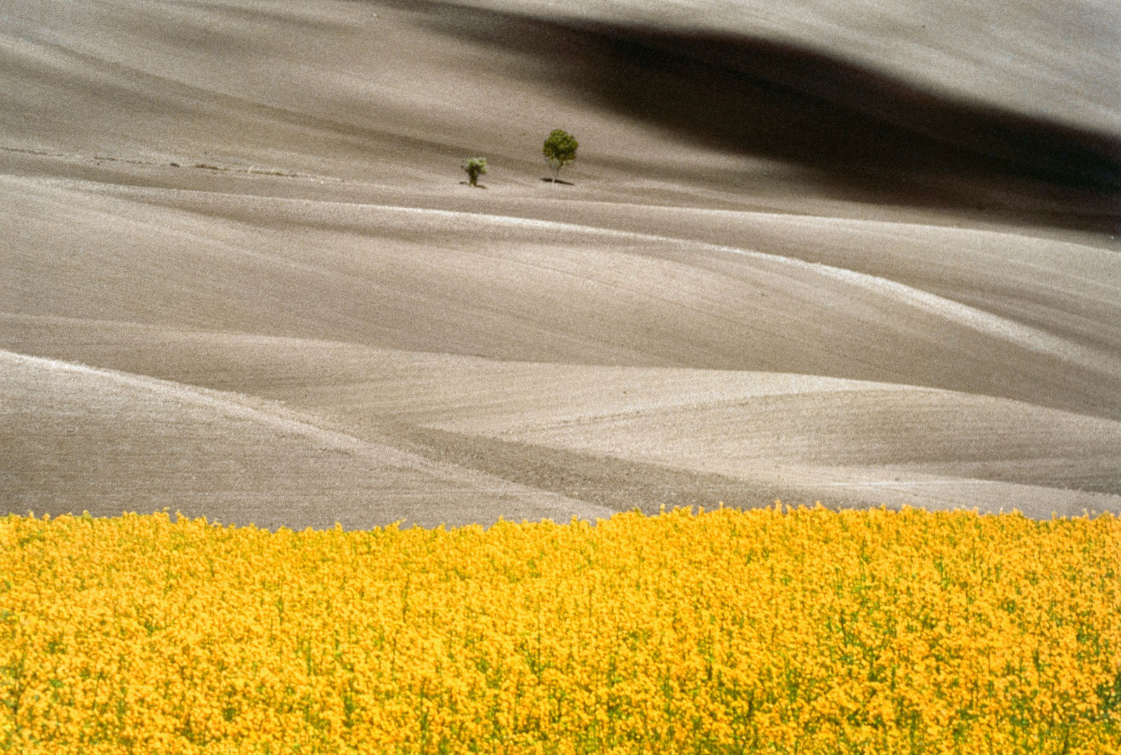 Franco Fontana, Basilicata, 1990