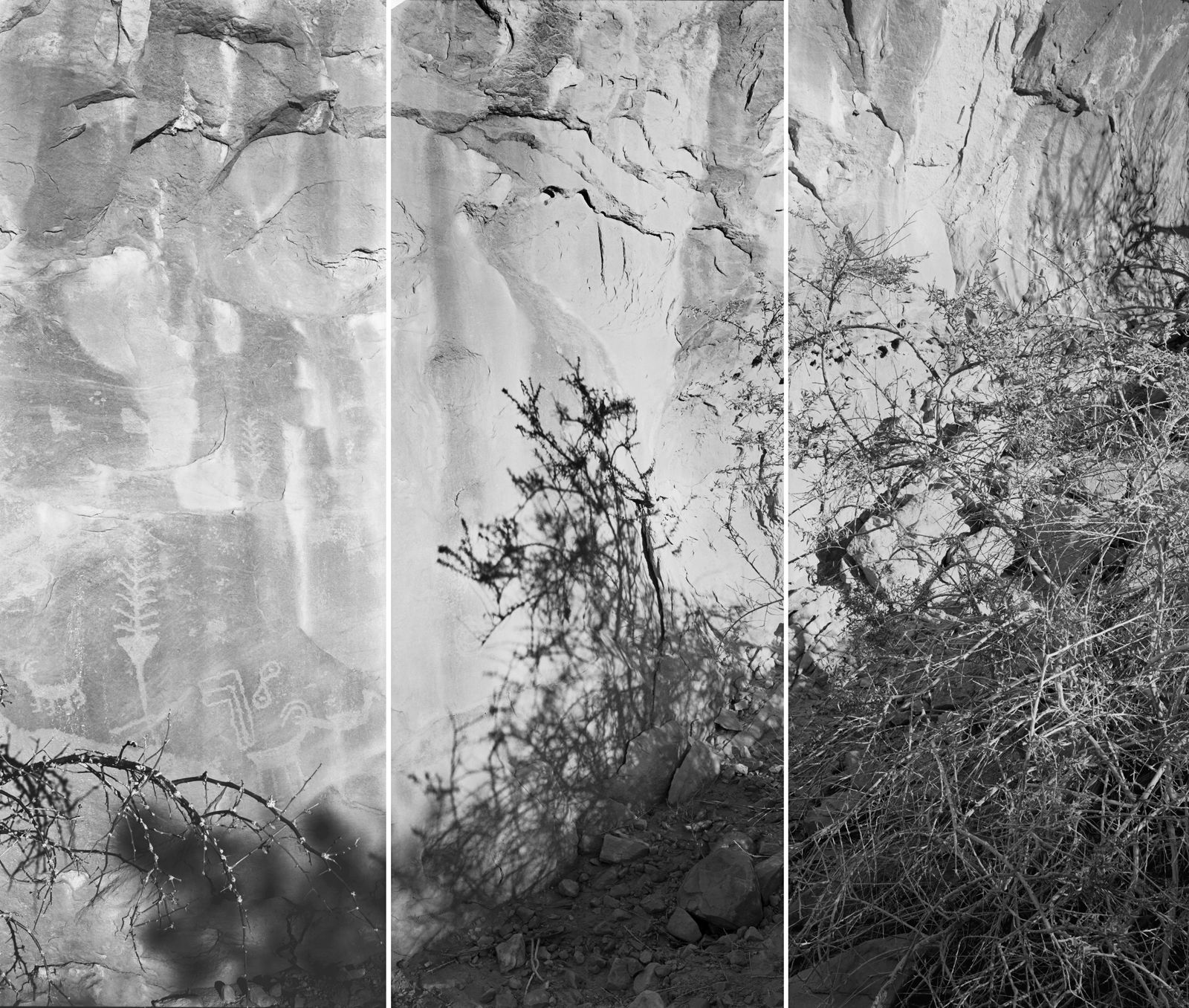 Lois Conner, Canyon de Chelley, Arizona, 1996